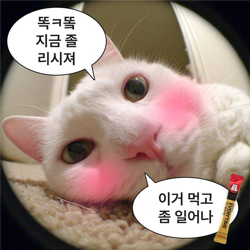 인간 츄르 영업계 tweet media