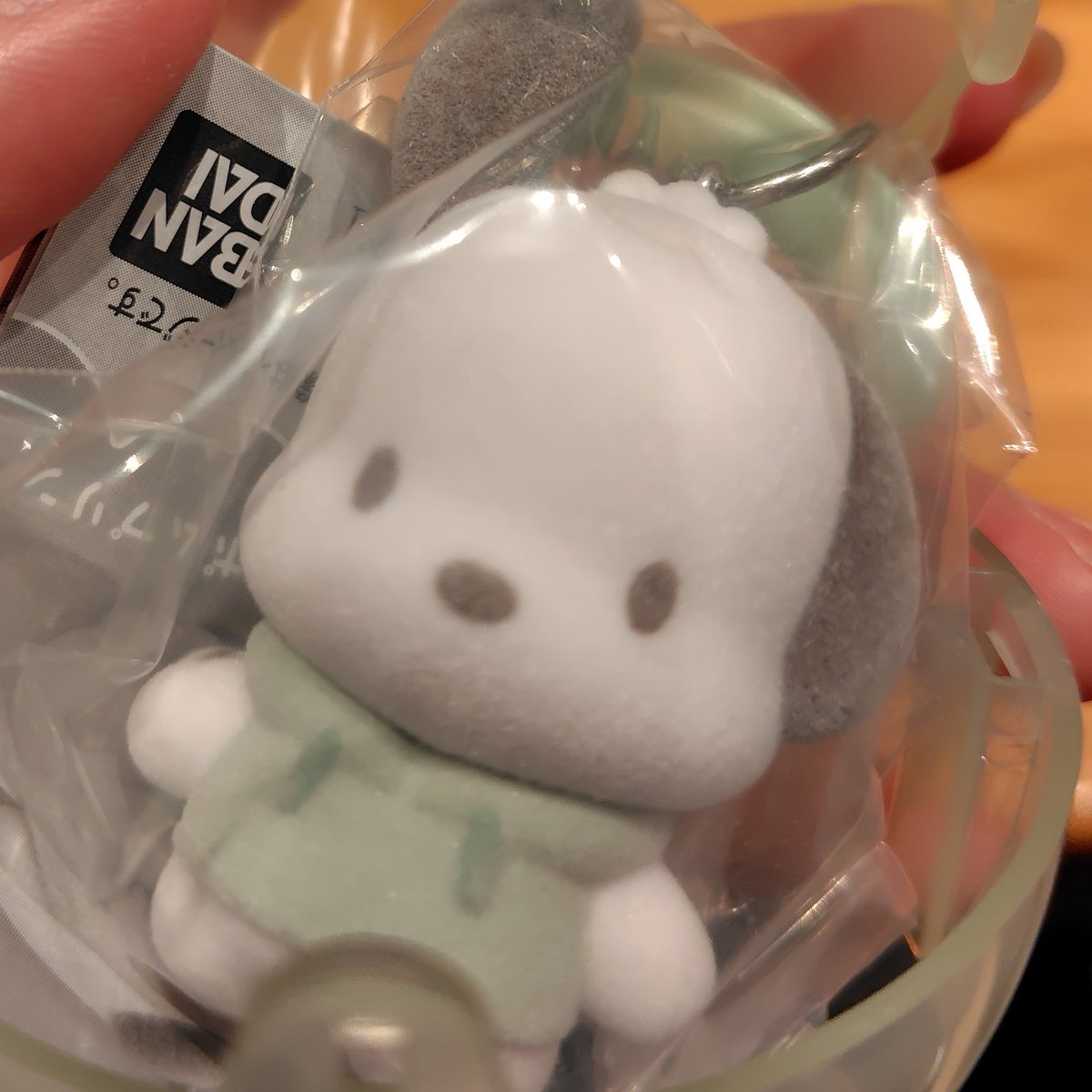 irodori_mint's tweet photo. @mizuhidachan 初めまして、検索より失礼いたします。
ポチャッコを所持しているのですが、明日以降の日にちで都内手渡しのお取引は難しいでしょうか。
ご検討のほどよろしくお願いいたします。 https://t.co/KcsPRed6pM