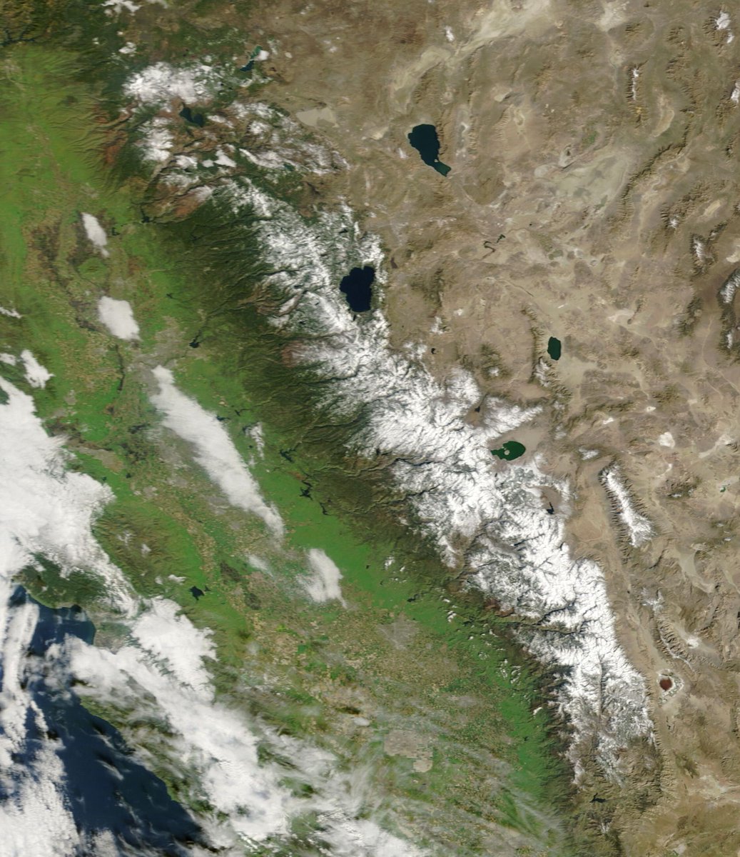 Colin McCarthy tweet media