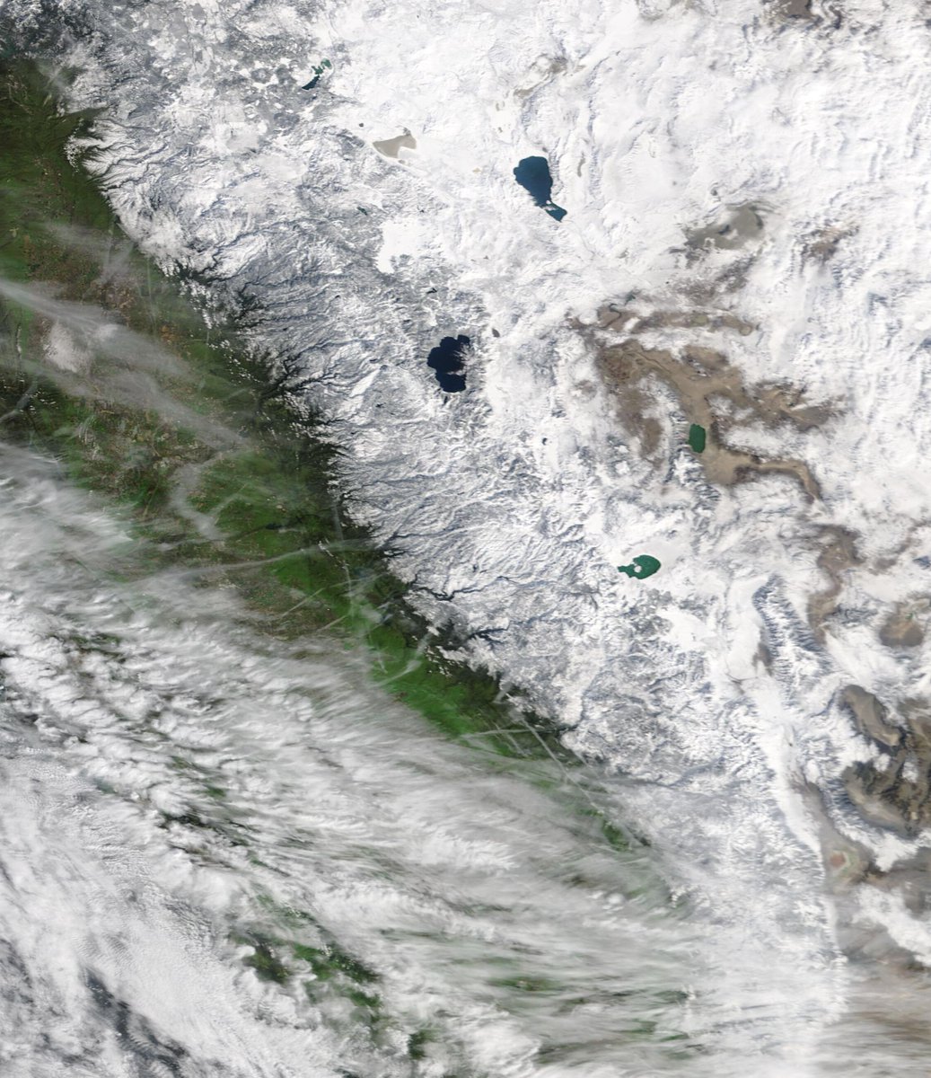 Colin McCarthy tweet media