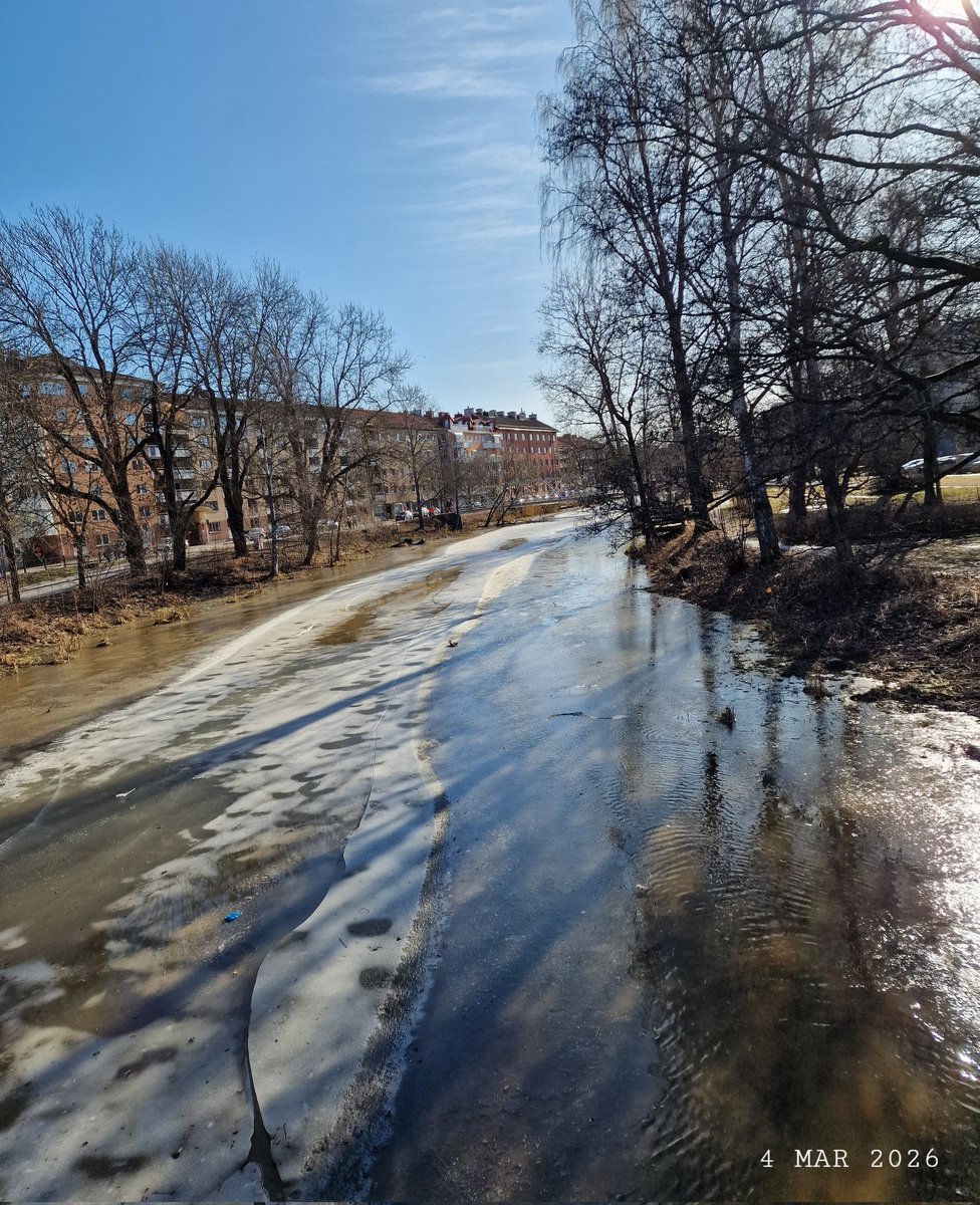 IDadzkov's tweet photo. River Fyris with ice in Uppsala.  Река Фирис со льдом в Упсале.
#nature #March #river #Fyris #ice #Uppsala #city #trees #buildings #CityPhoto #UppsalaPhoto https://t.co/lRyUVnJgL0