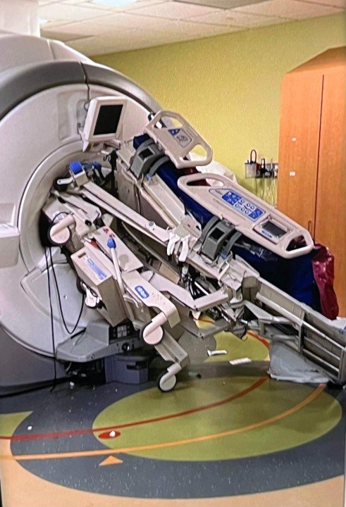 國軍喵司令🇹🇼（互fo/台北の虎🐯 tweet media