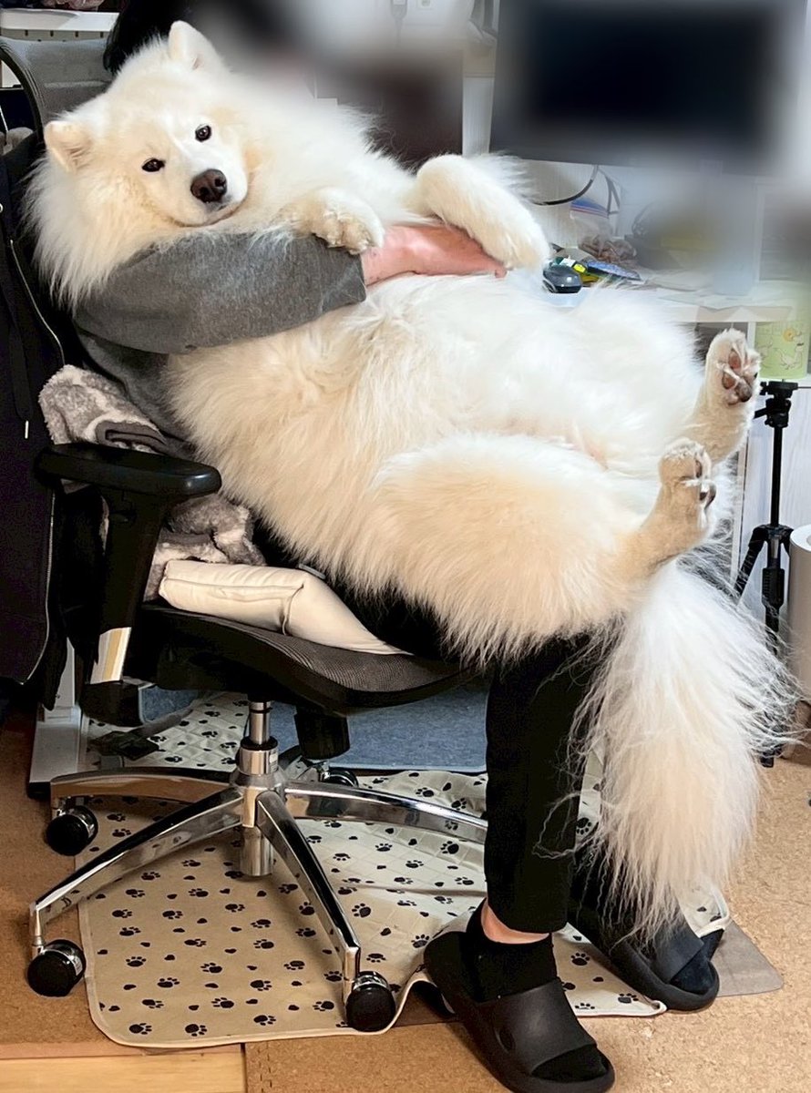 とんすけ (@tonsuke85) / Posts / X