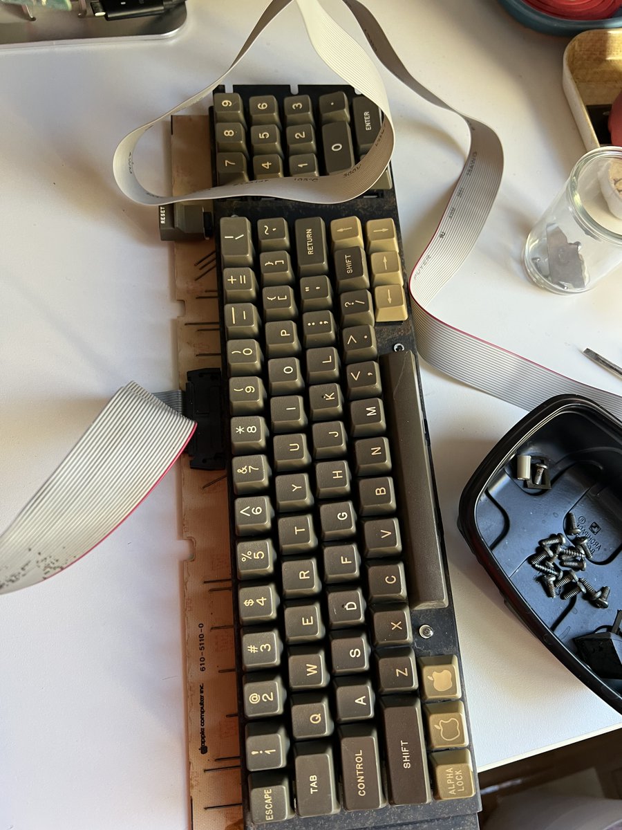 Technosaures tweet media