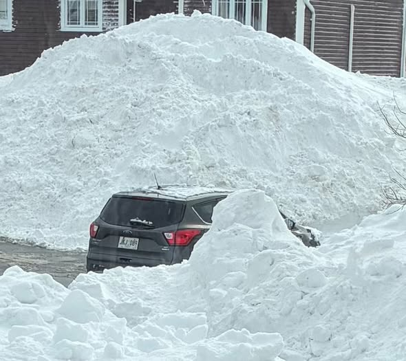 Sharon Malette tweet media