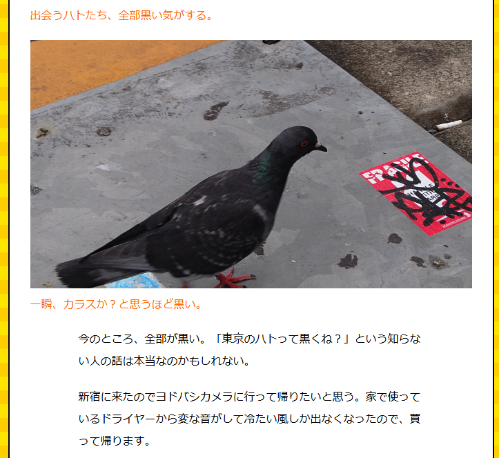 東京のハトって黒くね？」と知らない人が話しているのを立ち聞きした