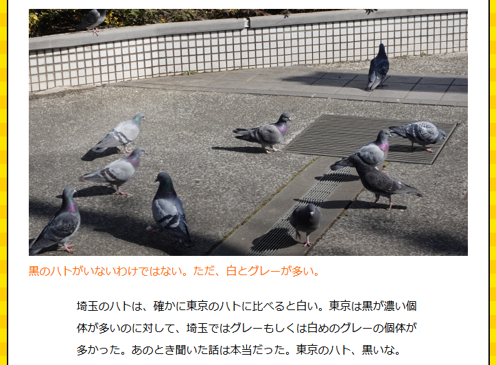 東京のハトって黒くね？」と知らない人が話しているのを立ち聞きした
