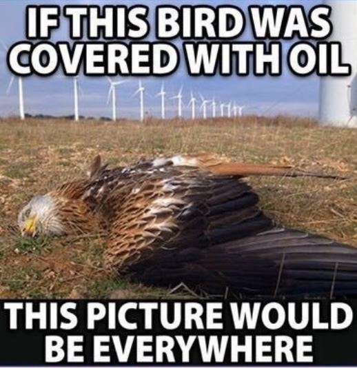 Dr. Morgan Safehouse🌞♠️ tweet media