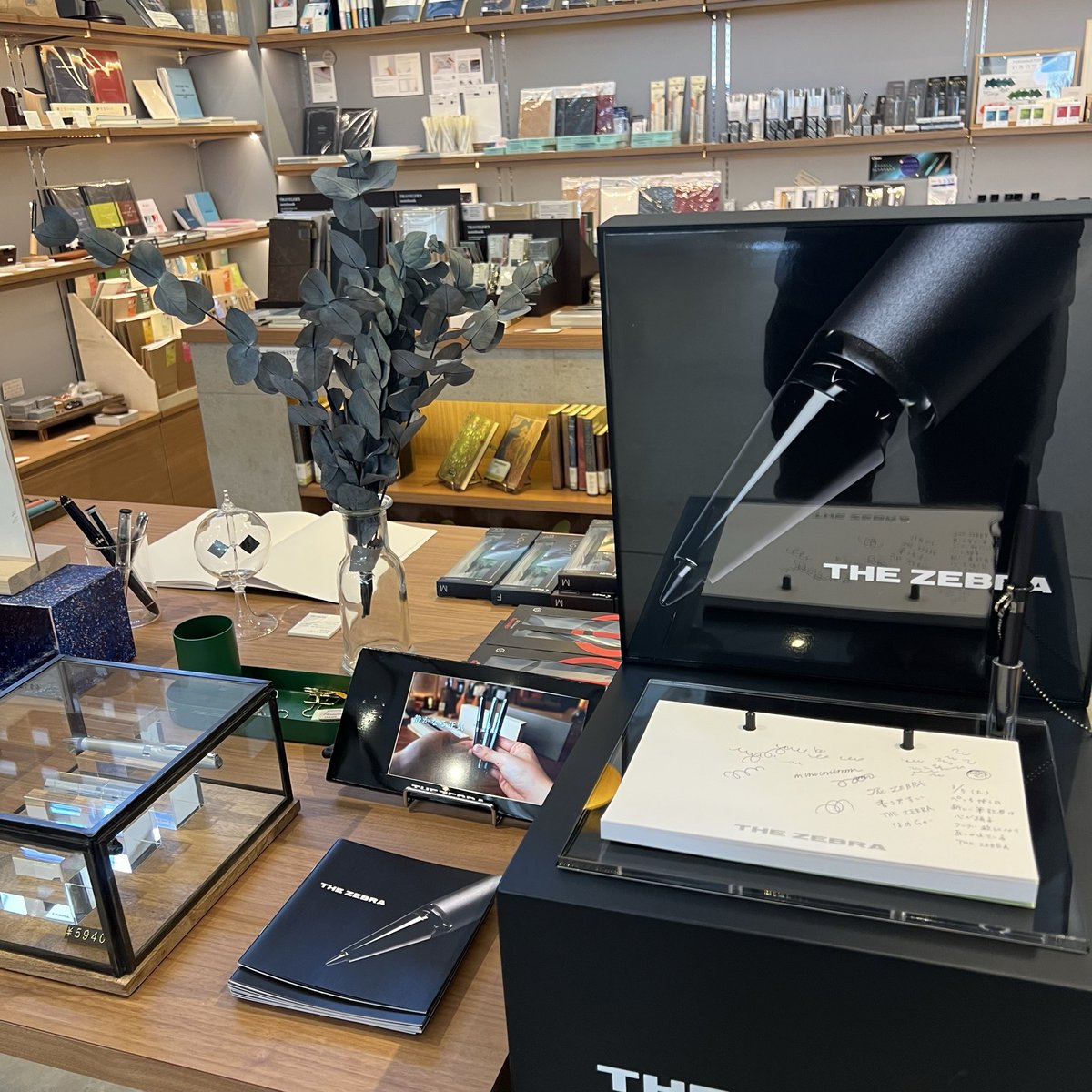 THE ZEBRA HAMON見てきました 人気の水藍色はすでに売れており見ること 
