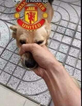 Stanley Gama tweet media