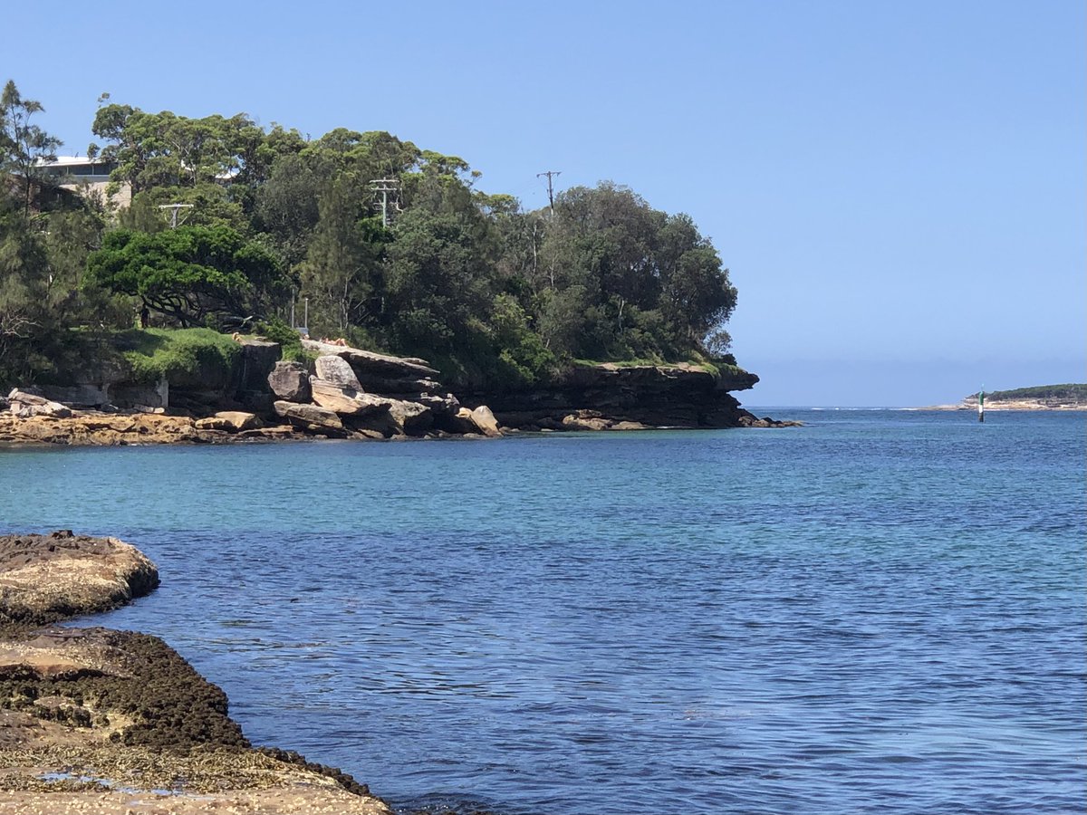 mark obrien tweet media