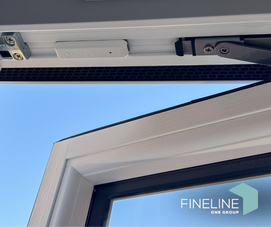 Fineline Windows tweet media