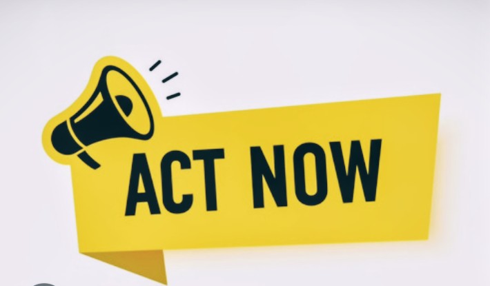 Crypto David tweet media