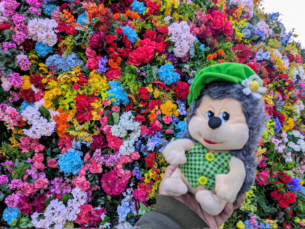 🌸🏵️🪻🌼🌺