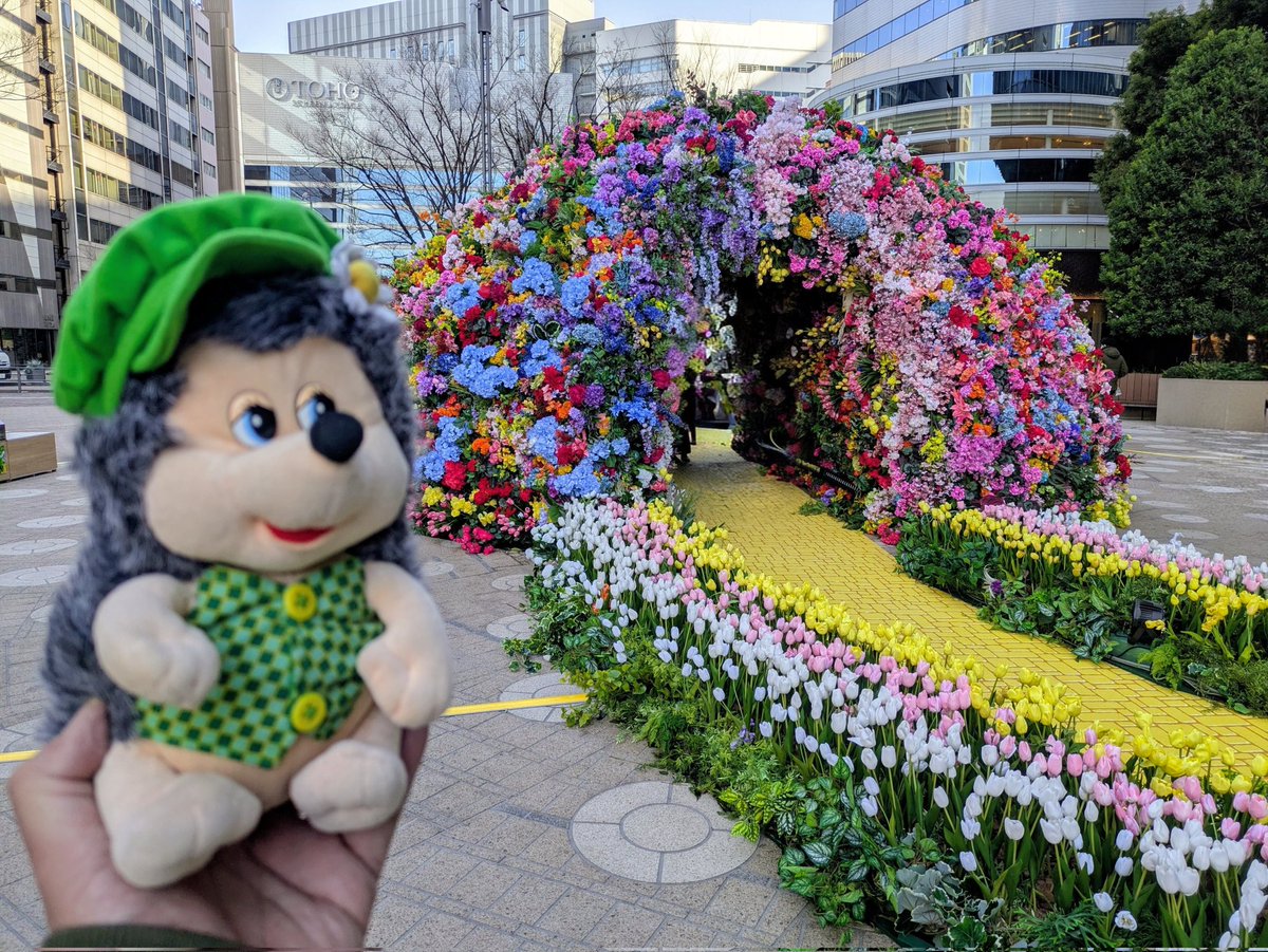 🌸🏵️🪻🌼🌺