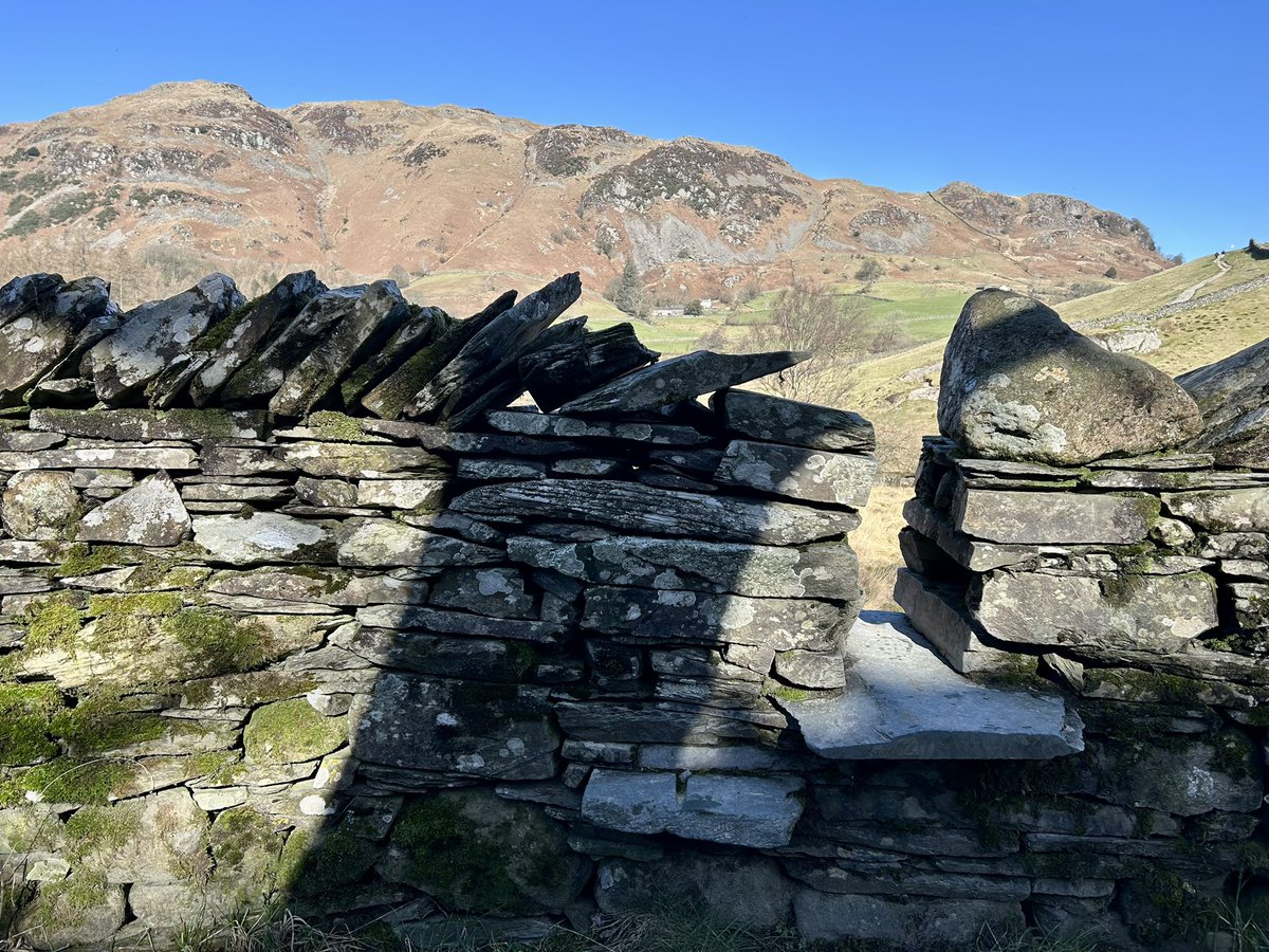 elizabeth tutty tweet media