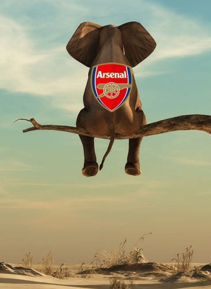 Don't say anything. 
Just like and retweet.