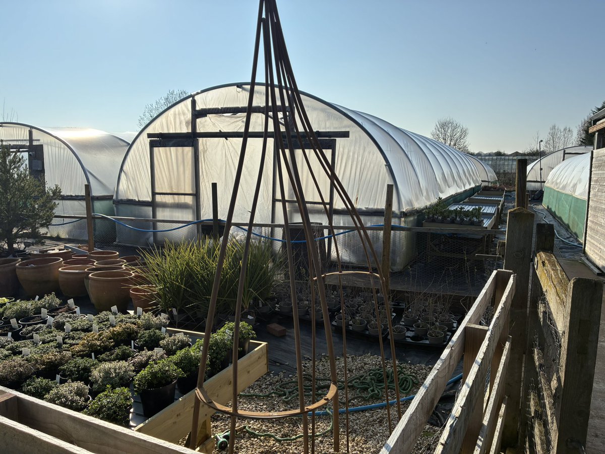 kitchenGarden tweet media