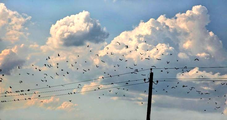 “Dünya bir durak değil, bir geçiş yeridir. Ne sevinçle oturulacak bir yurt ne de kalıcı bir mekândır. O, ya gelip geçen bir hayal ya da yaz göğünde hızla dağılan bir buluttur.”

İbnu'l Kayyım رحمه الله