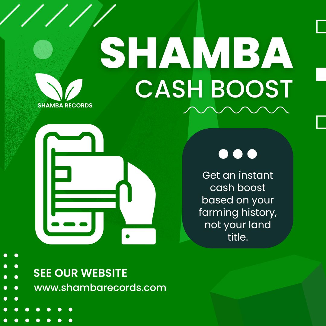 Shamba Records tweet media