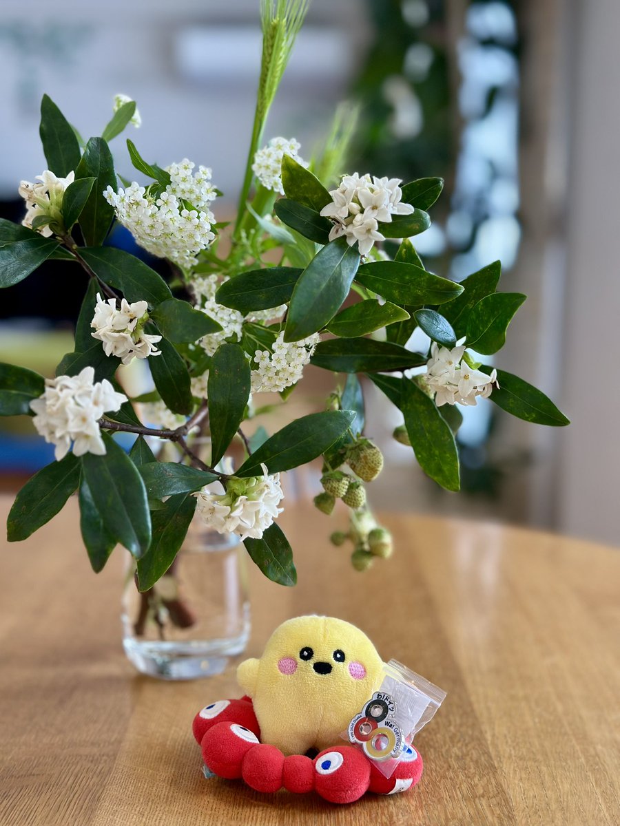 umerobo's tweet photo. 大阪・関西万博で何度も🇩🇪ドイツパビリオンを訪ねるも出会えなかったピンバッジ。

3/13〜15に万博記念公園（吹田）で開催される『麦食音祭』でも扱われるけど、別の予定が…としょんぼりしていたら。正規通販で手にすることが叶いました♫

()◉ᗜ◉)<中1日で届いたよ！

https://t.co/vtz4OOoIOO https://t.co/ANLcgYpye7