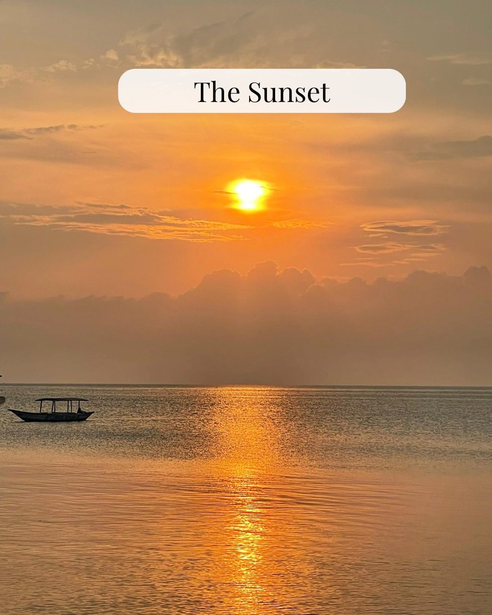 Sol_Solange tweet media