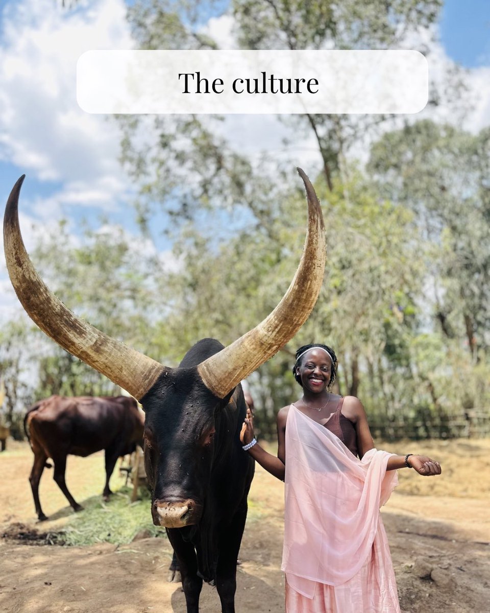 Sol_Solange tweet media