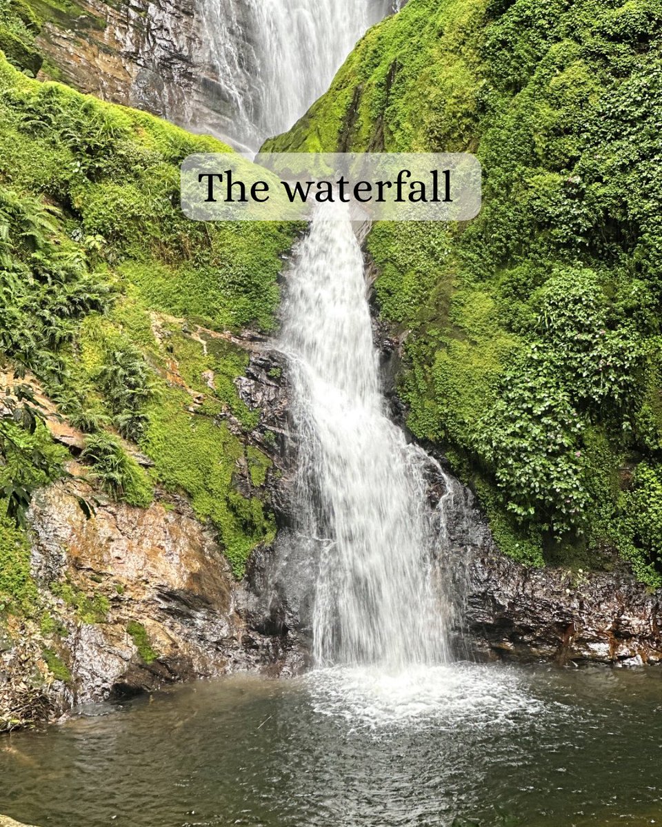 Sol_Solange tweet media