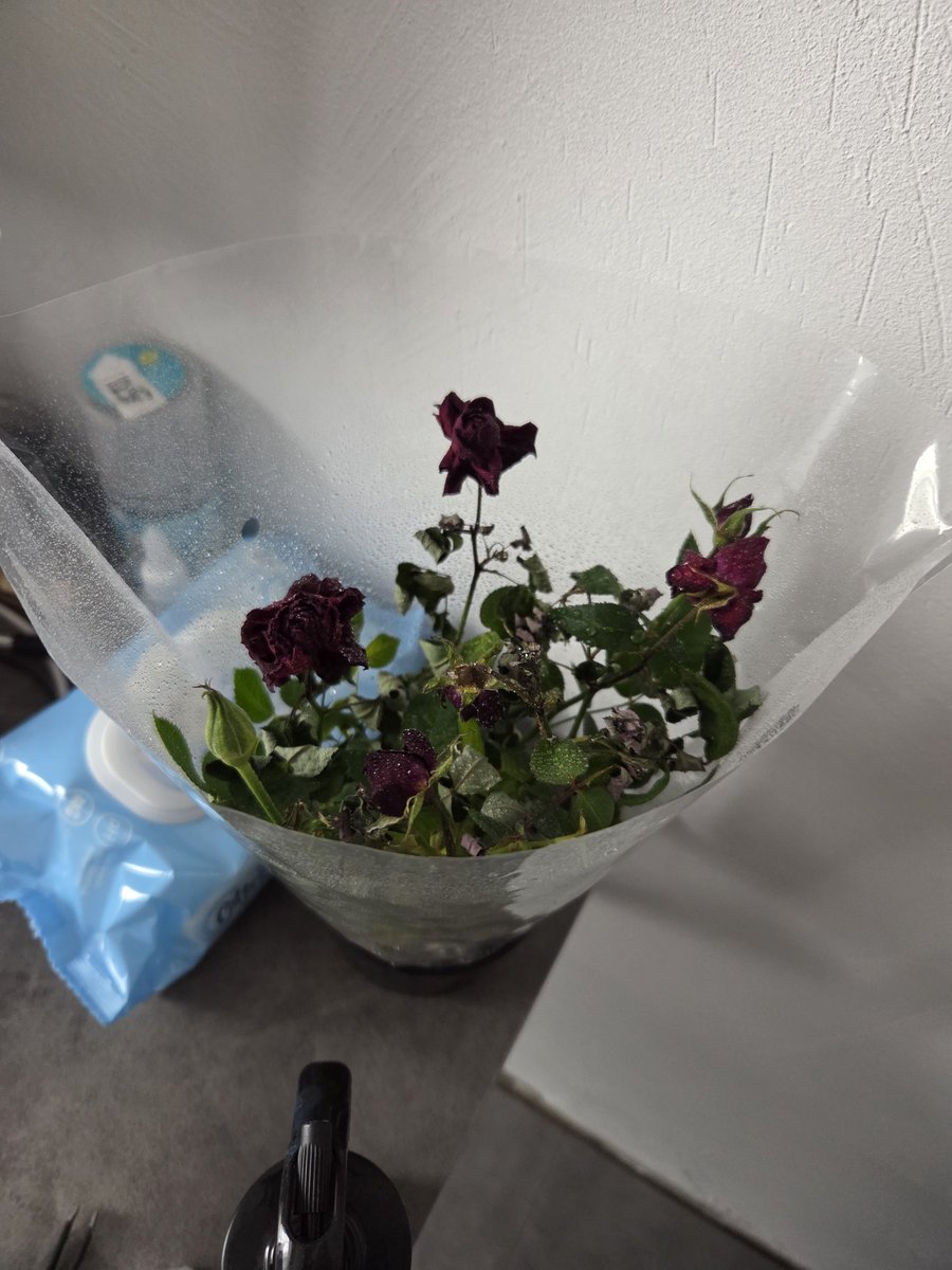 Сережа Смирнов tweet media