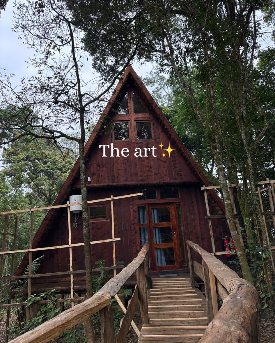 Sol_Solange tweet media