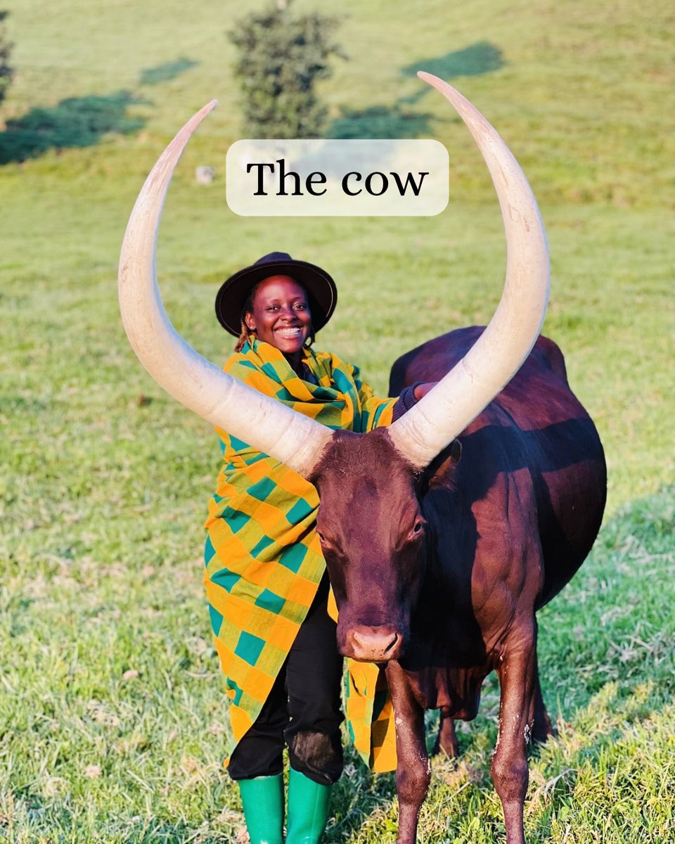 Sol_Solange tweet media