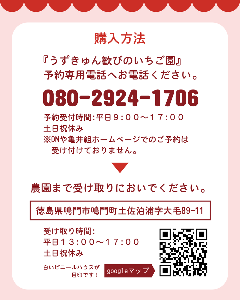 hanakamekun's tweet photo. 『うずきゅん 歓びのいちご園』
最新の価格表です🍓

⚠️【重要】
販売は「電話予約のみ」となります。
DMでは受け付けておりませんのでご注意ください。

📞080-2924-1706

📍徳島県鳴門市鳴門町土佐泊浦字大毛89-11
Googleマップで「うずきゅん」を検索
（白いビニールハウスが目印です！） https://t.co/Wm4a6UK5zt