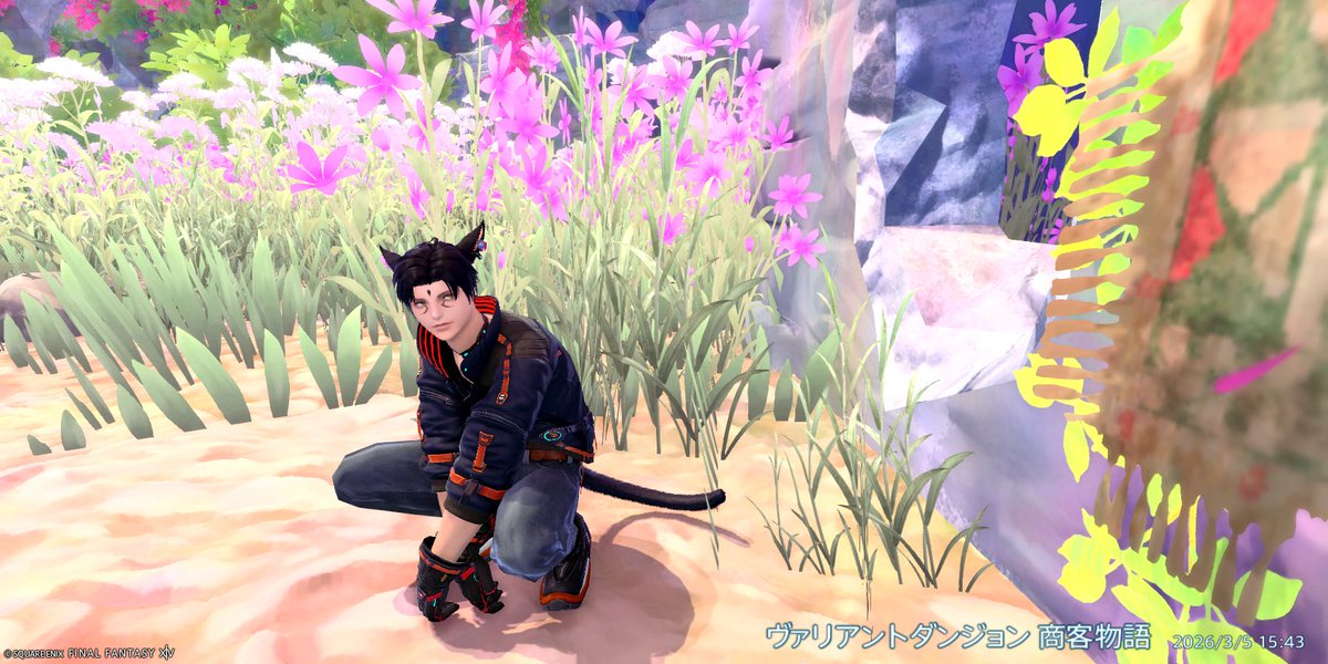 猫科@MoE_D tweet media