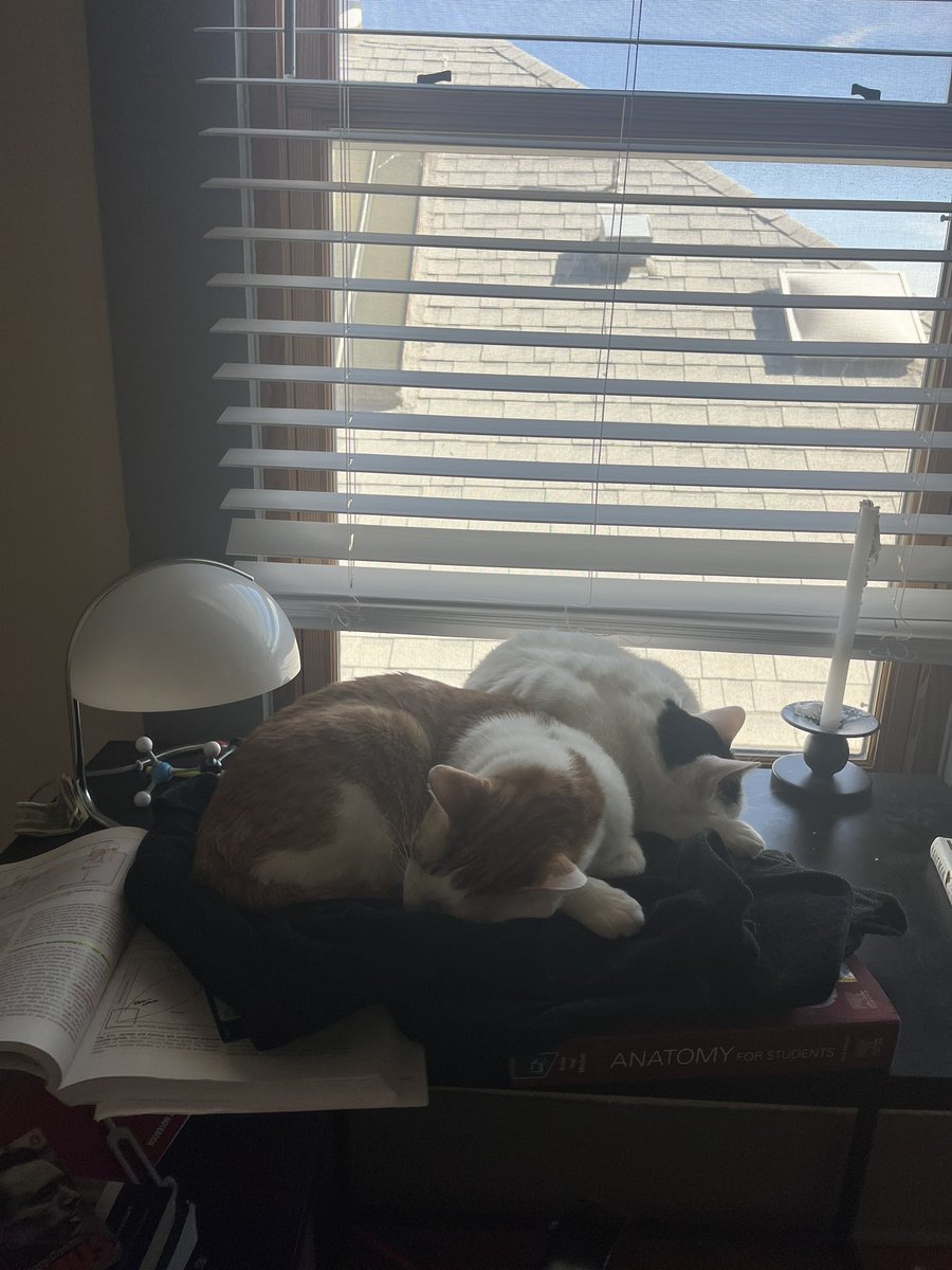 Reyes Javier Castañon (@kalirin9) on Twitter photo 