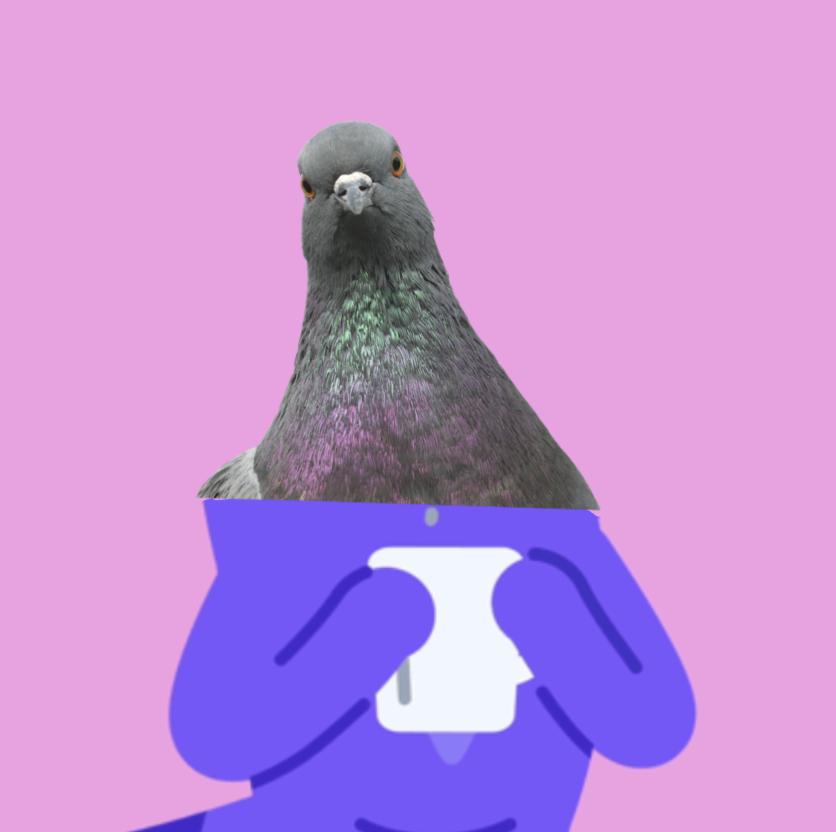 GeckoTerminal tweet media