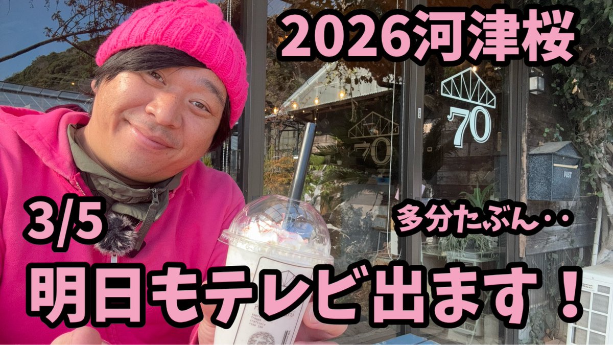 2026河津桜】 昼めし旅 開花情報 開花状況 ライブカメラ kawazu Cherry