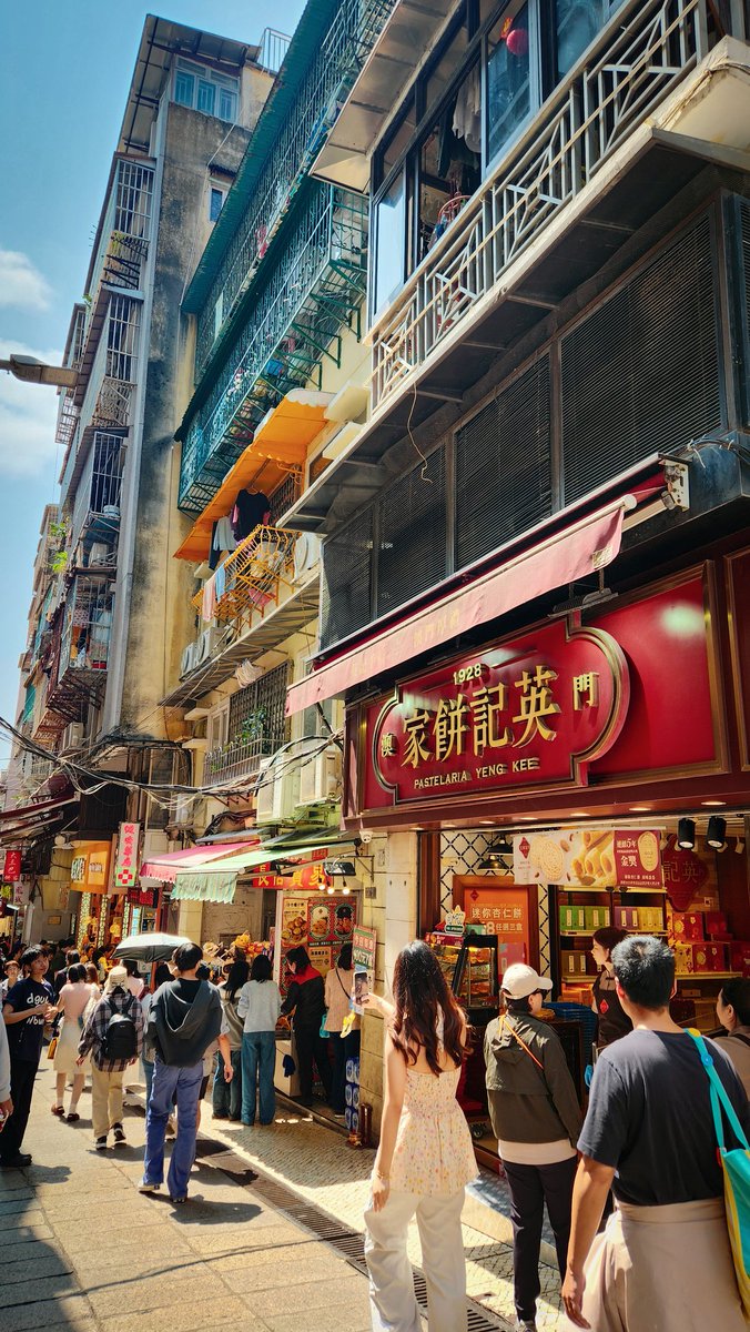 Rocket 🦝 tweet media