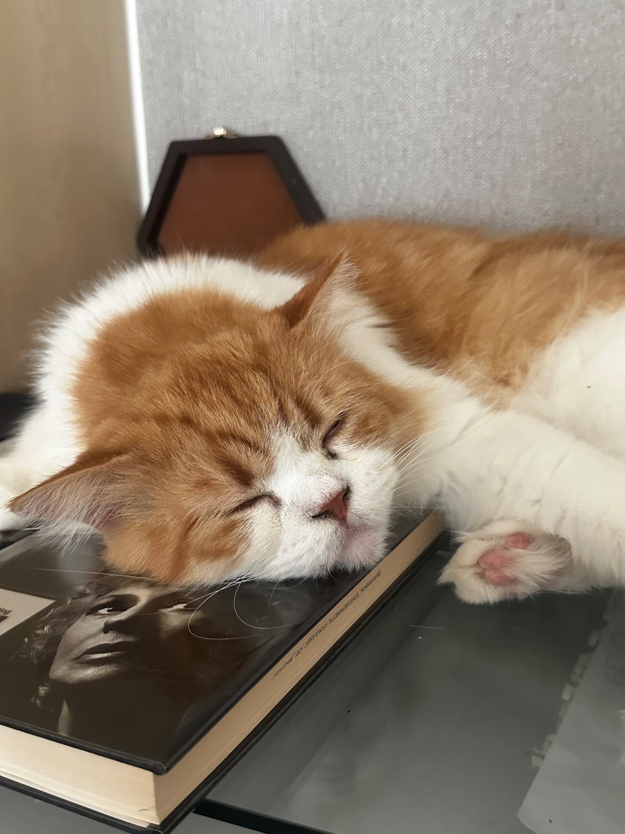 peterderiy tweet media