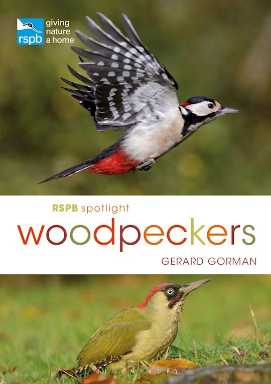 World Woodpeckers tweet media