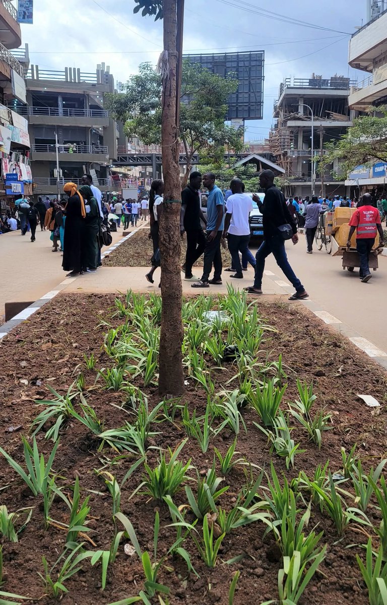 SSEKIDDE GIDEON tweet media