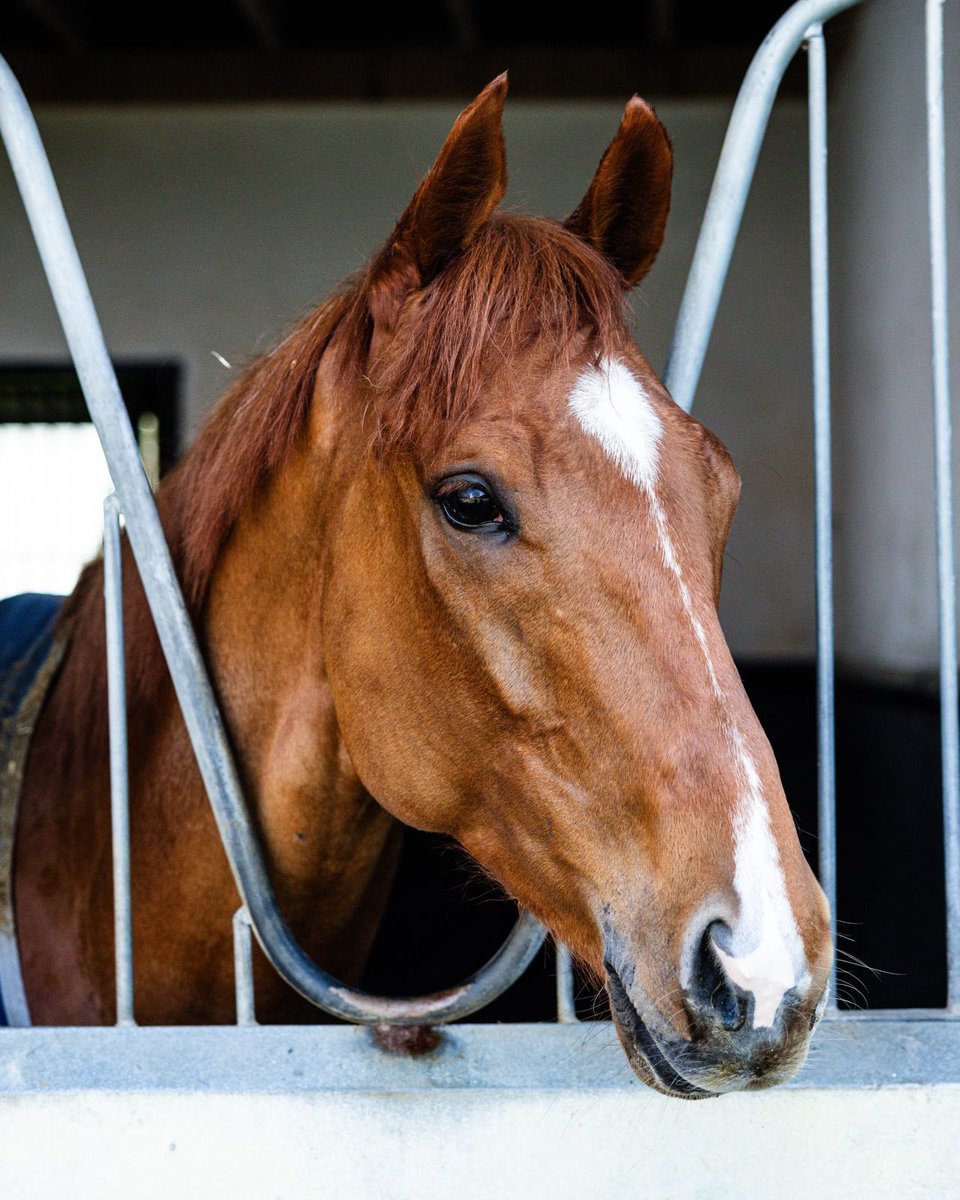 Ed Walker Racing tweet media