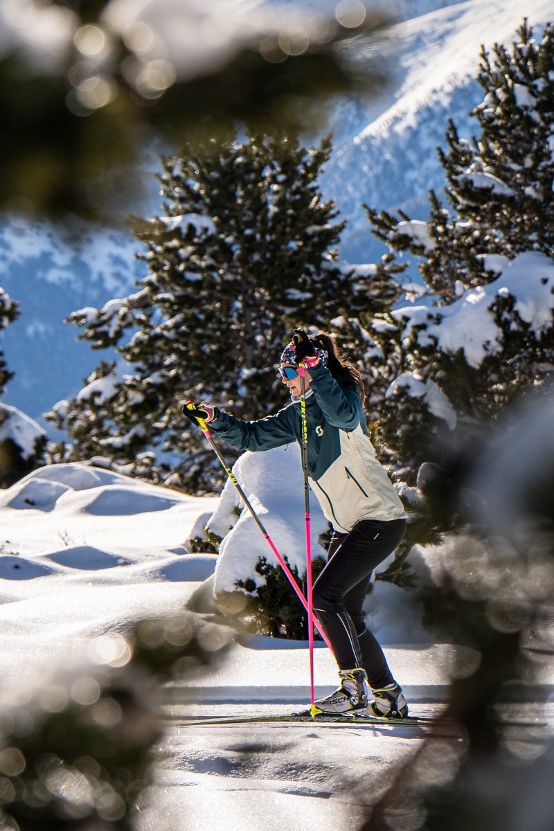 ❄Altiservice ⛷🏂 tweet media