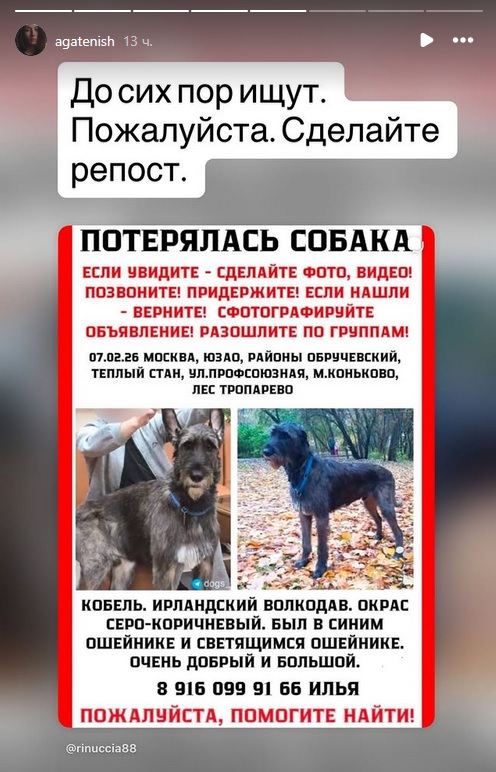 Лауриэль tweet media