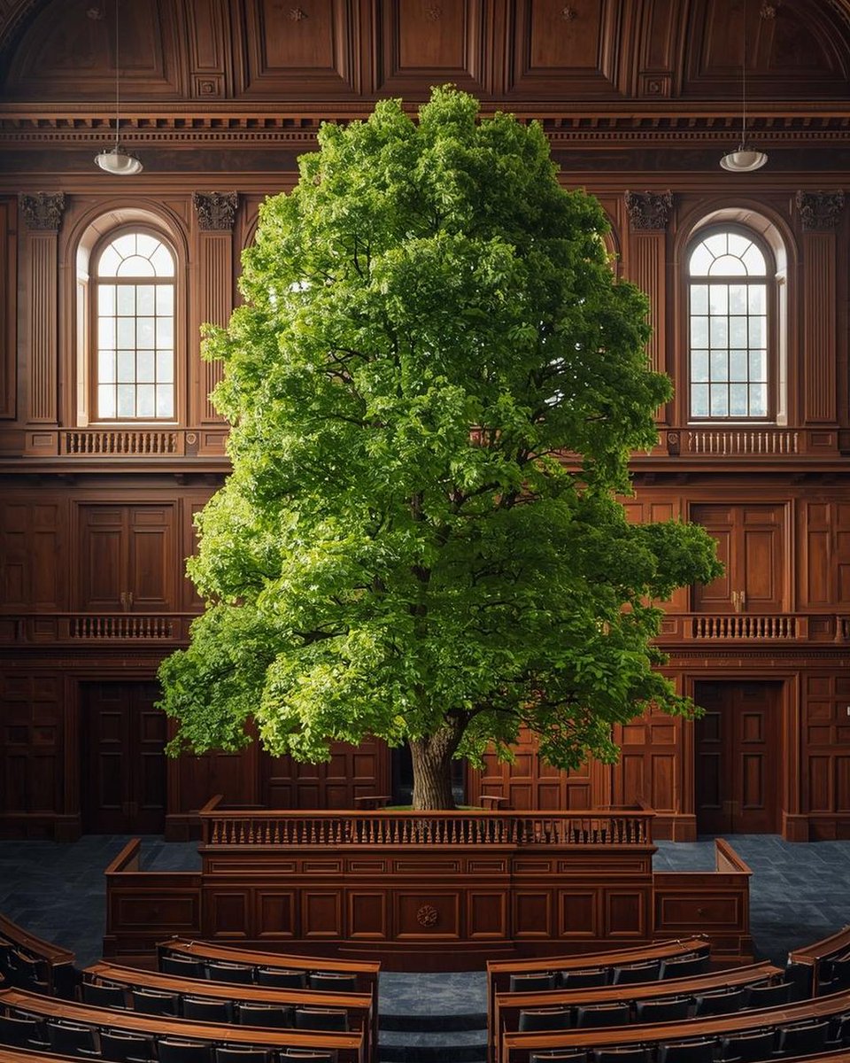 Baumentscheid tweet media