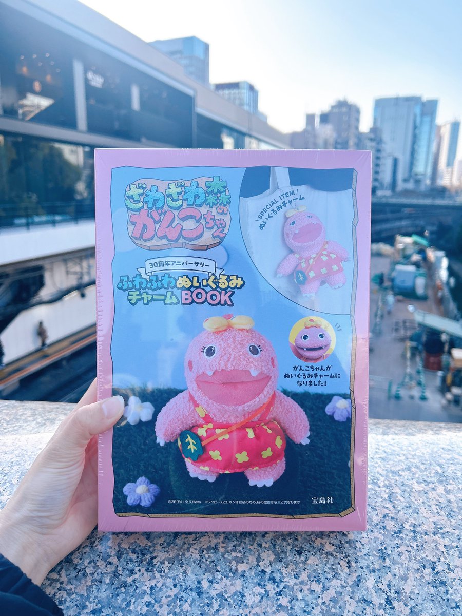 がんこちゃん😸😸😸