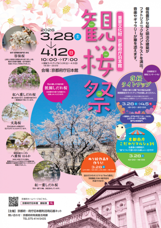 miryokukojo's tweet photo. 京都府庁旧本館で、今年も春の恒例 「観桜祭」 を開催。

桜と近代建築が重なる、京都らしい春を旧本館で。
観桜祭の詳細・日時・アクセス → https://t.co/VvOtW3lNBF
#京都府 #京都府建設業魅力向上プロジェクト #建設 #土木 #京都府庁旧本館 #観桜祭 #桜 #建築 #京都観光 https://t.co/4PRyebsKiC