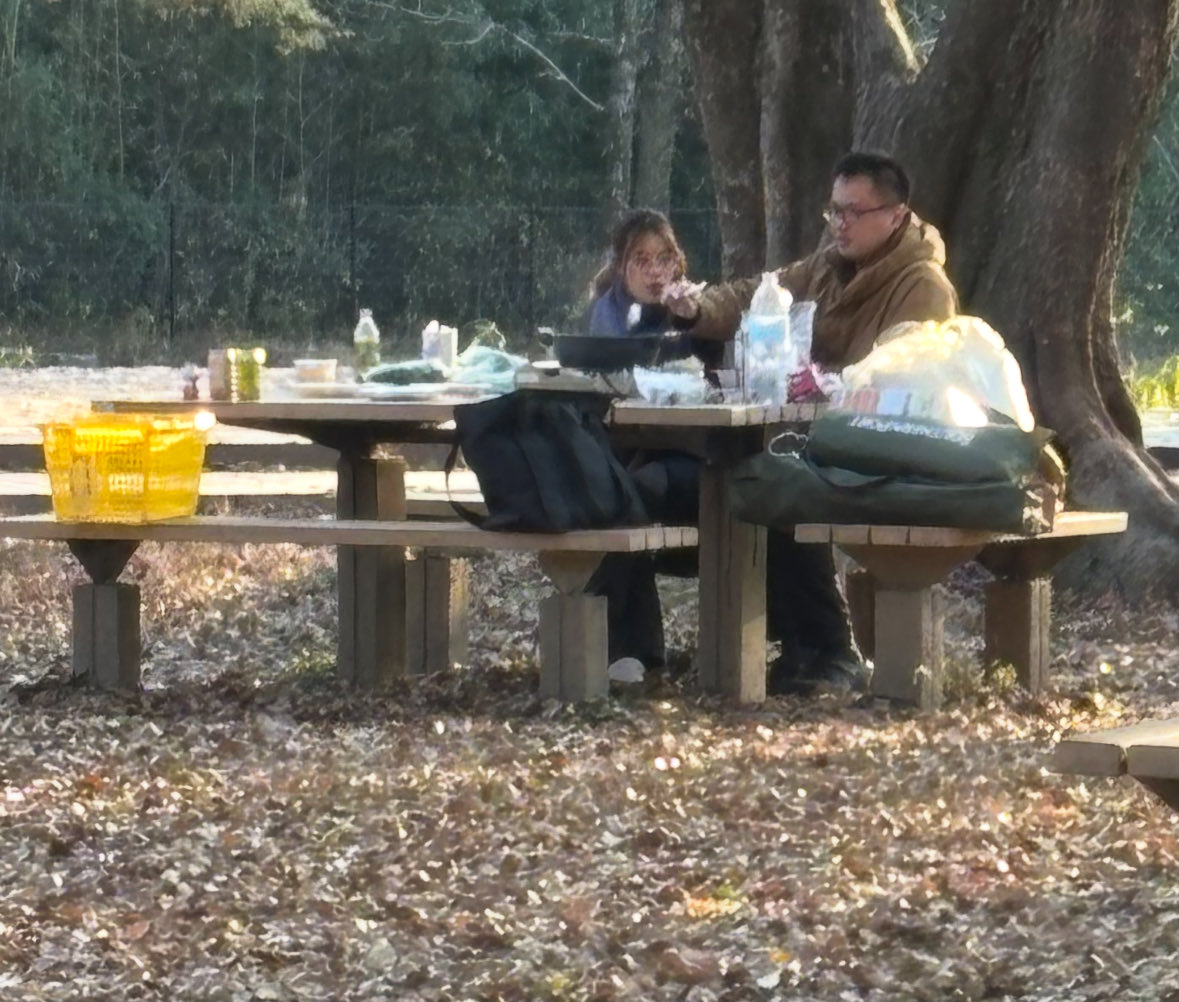 numururetsupeo's tweet photo. 【常識のない中国人】
公園で中国人の男女がカセットコンロに火を点けて鍋をしていた…

大きな公園だから警備員さんが見回りに来た時に通報。

警備員さんも『えっ！？』と驚愕。

案内したらすぐに駆け寄ってジェスチャーで注意してくれたけど、完全無視💢

15分後、30分後でも堂々と食べてる…

周りの人も唖然…

警備員さんが再び注意しに行っても、何やら中国語で声を張り上げて警備員さんを困らせてた。

最近乾燥していて山火事もあったり、火事が増えているし、下には燃えやすい落ち葉がたくさん。

当然この公園も、火気厳禁のマークが何ヶ所にも貼ってある。

こんな民族との共生はやはり無理。

ちなみに、残った鍋つゆは下に捨てた💢

警備員さんも、“長く勤めているけどこんなこと初めて”と…

こんなモラルのないルールを守れない民族は本当に来ないでほしい。