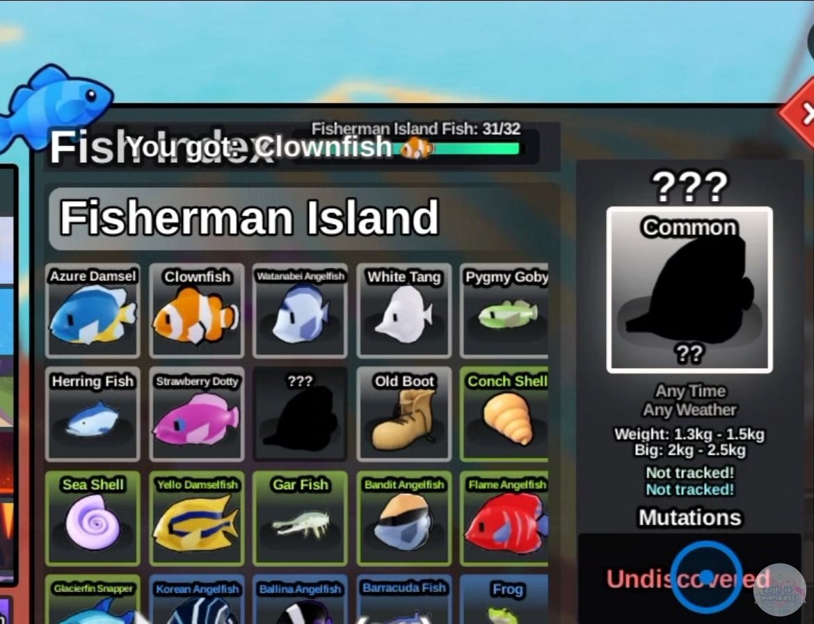 FISH IT FESS ‼️ WTT CANTUMIN UNAME tweet media