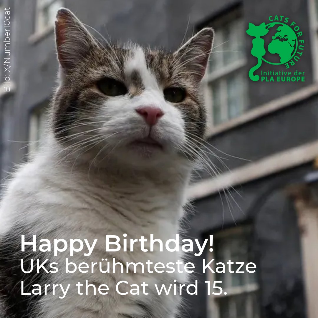 Cats for Future tweet media