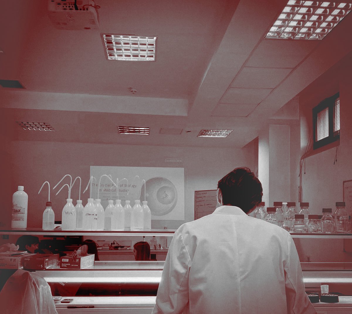 SIOBHAN. tweet media